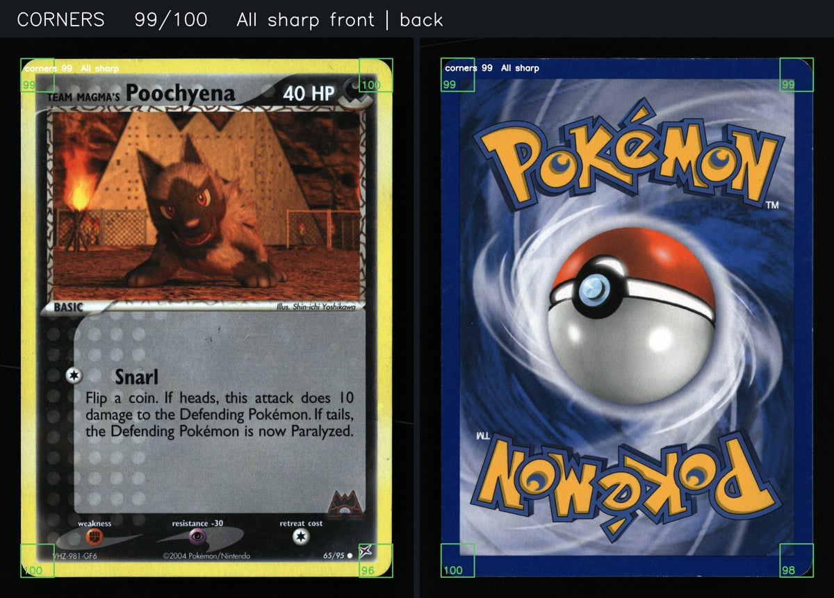 Team Magma's Poochyena 65/95 — Common (Excellent) - Team Magma vs Team Aqua · H129