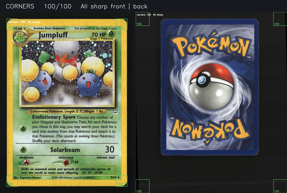 Jumpluff 9/64 — Rare Holo (Near Mint) - Neo Revelation · J042